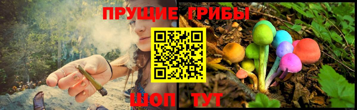 Галлюциногенные грибы Psilocybine cubensis Семилуки