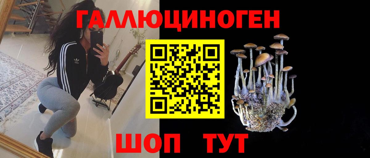 Галлюциногенные грибы Psilocybe  Вход с VPN  Галлюциногенные грибы мицелий  Семилуки 